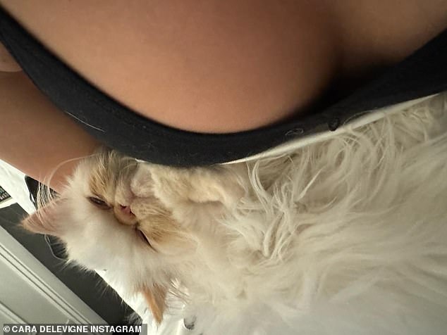 Cheeky: The 31-year-old showed off her ample cleavage as she angled the camera to show her pet on her chest