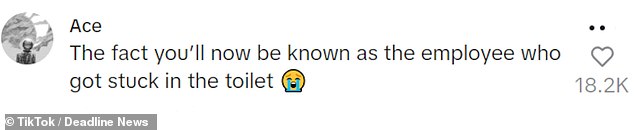 There was no sympathy for her ordeal as people joked that she would forever be known as the 'employee who got stuck in the toilet'