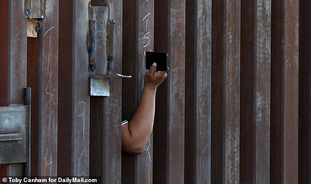 A coyote uses a cell phone to scan up and down the border wall in Arizona as he prepares to send a group of migrants into U.S. territory in a highly organized operation