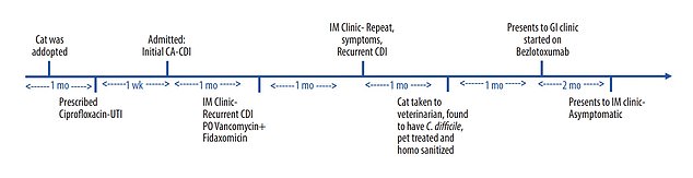 The above shows a timeline of the woman's illness