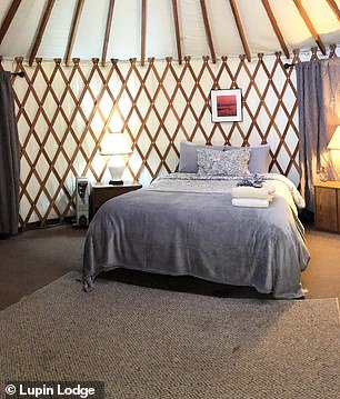 Guests can spend the night in the campsite's many yurts