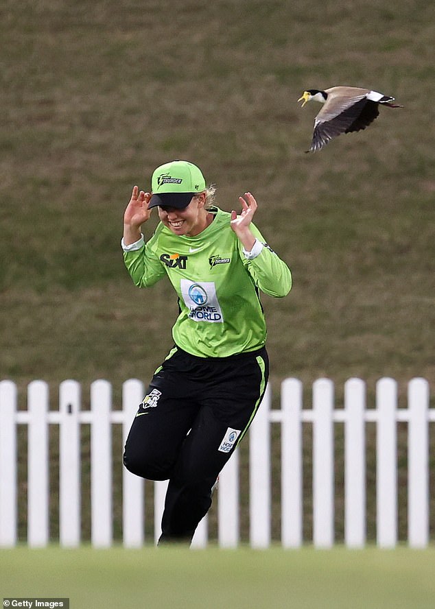 The Thunder's Phoebe Litchfield reacts after being attacked by a plover during the 2022 Women's Big Bash League match between Hobart and Sydney