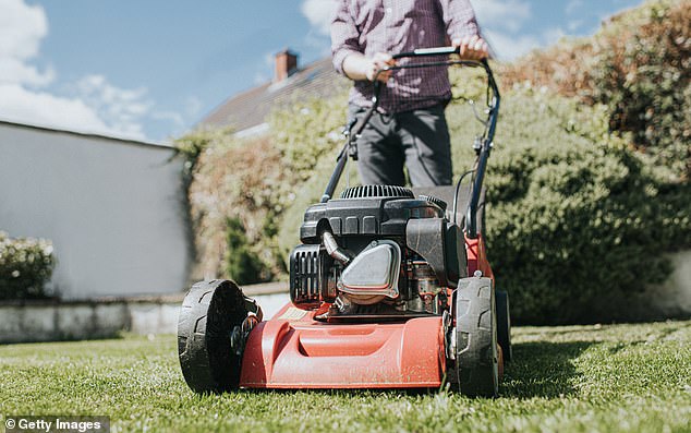 Researchers claim that one in ten premature deaths could be avoided if inactive people mowed the lawn for 11 minutes a day (File image)