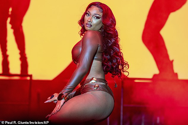 Stunner: The 28-year-old Texas rapper showed off her enviable curves in a fitted brown long-sleeved crop top that highlighted her cleavage