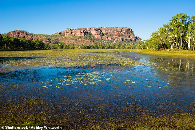 Human remains believed to be Mrs Stephens were found near Nourlangie Rock (pictured) on Saturday after the search for the missing camper began on Tuesday