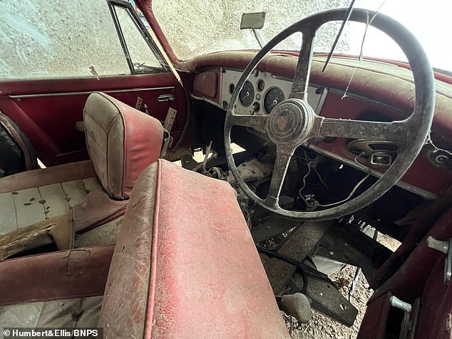 The car's steering wheel