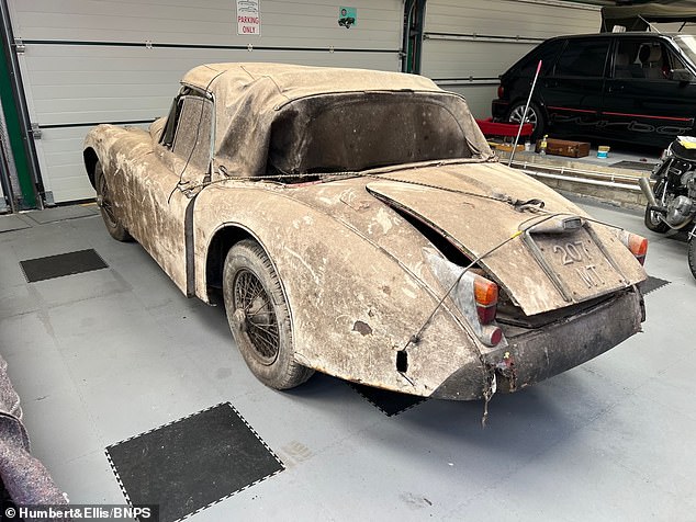 A view of the rear of the car after it was removed from the shed