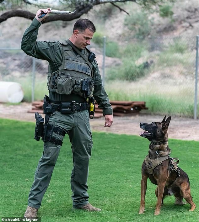 Kenzo was working with Pima County police looking for the two men when they saw someone entering the fencing of a business property on Friday evening.