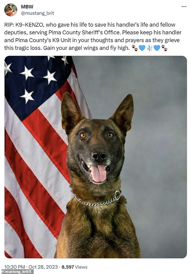 1698632260 156 Heroic police dog Kenzo is stabbed to death by armed