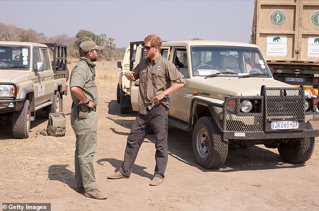 Prince Harry, 39, began working with the organization on an elephant translocation project in Malawi in 2016