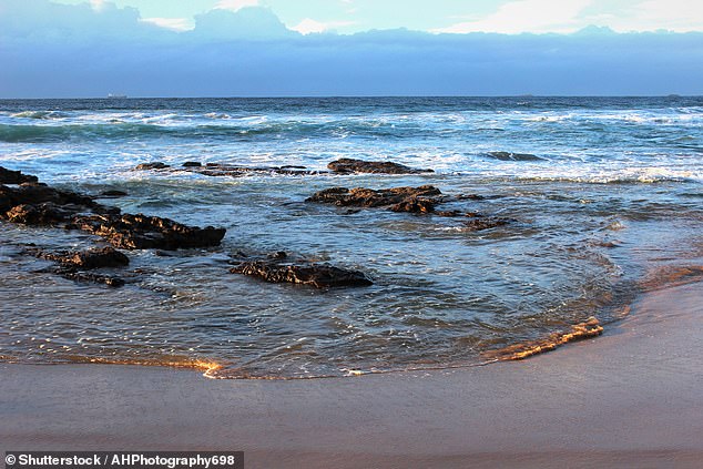 There was no supervision at Fairy Meadow Beach (pictured) when the swimmer disappeared 100 meters offshore