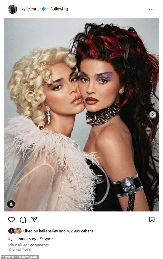 Black and white: Kylie was dressed in a busty black leather bodysuit with fishnets and a spiked choker, along with a black wig with crazy curls and red highlights.  Kendall looked angelic in his curly wig, white corset-style suit, lace stockings and white feathers