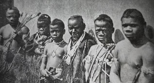 The year was 1904 and the so-called performers were six members of the Bambuti tribe.  They had been shipped from their homeland – in the Congo region of Africa – by British explorer Colonel James Harrison so they could be displayed before large crowds in England.