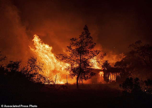 Seasonal Santa Ana winds are once again wreaking havoc in Southern California as the 