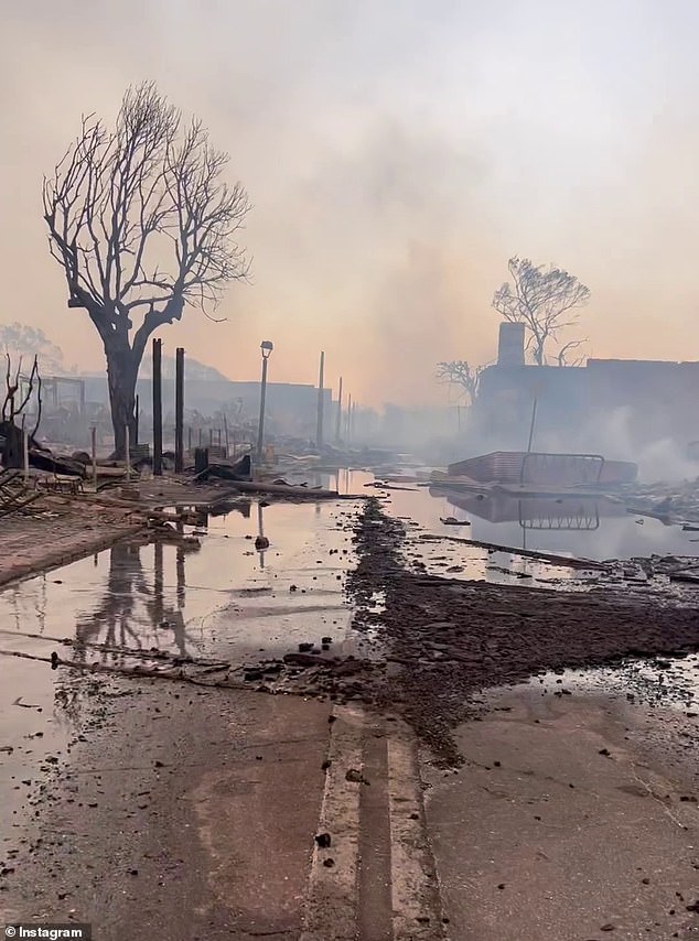 Low humidity and a prolonged drought season that saw trees dry out also contributed to the disaster, officials say