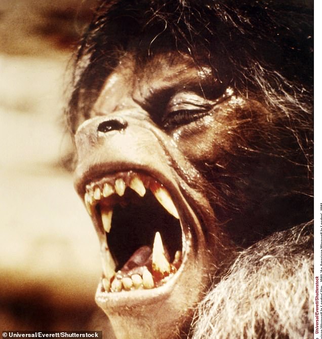 American Werewolf set in London is known for its amazing transformation scenes, all done with practical effects