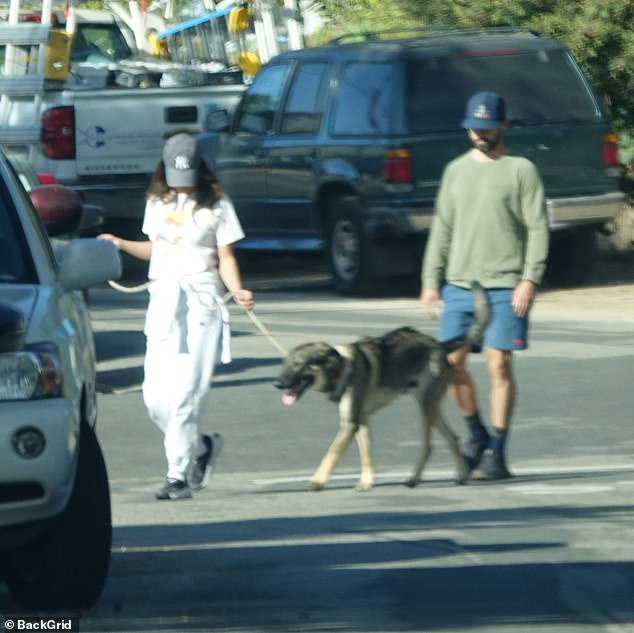 Furry friend: The couple was spotted walking their dog