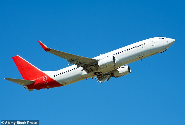 Recently, the flight expert took to the video sharing platform and described the way turbulence affected you in the air (stock image)