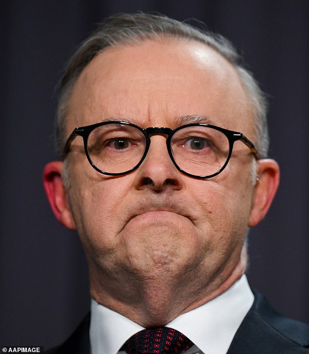 Anthony Albanese addressed reporters after the referendum failed and assured Australians he would not stop fighting for the rights of Indigenous Australians