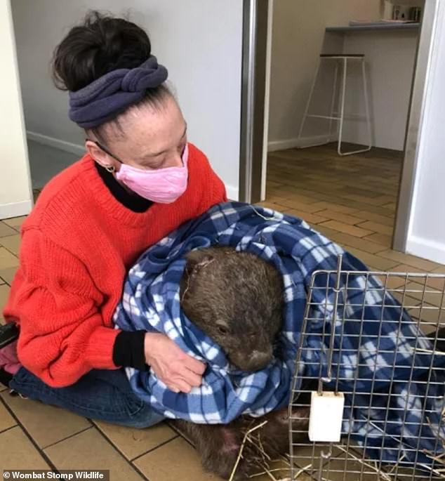 Animal rescuer Beth Nasser (pictured) had a piece of her palm 'torn off' by a 42kg wombat