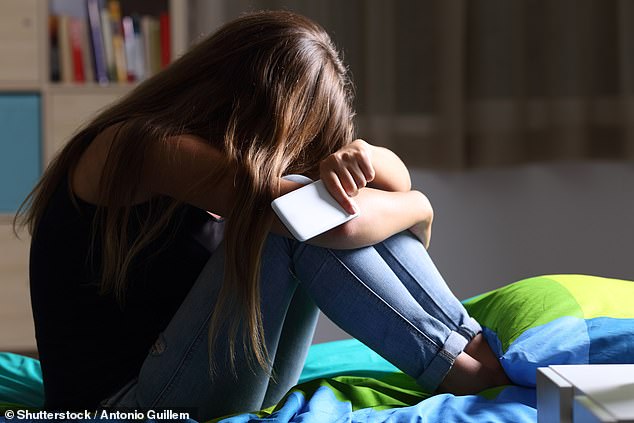 An Australian mother has urged parents to closely monitor their children's mobile phone and online activity for cyberbullying (stock image)