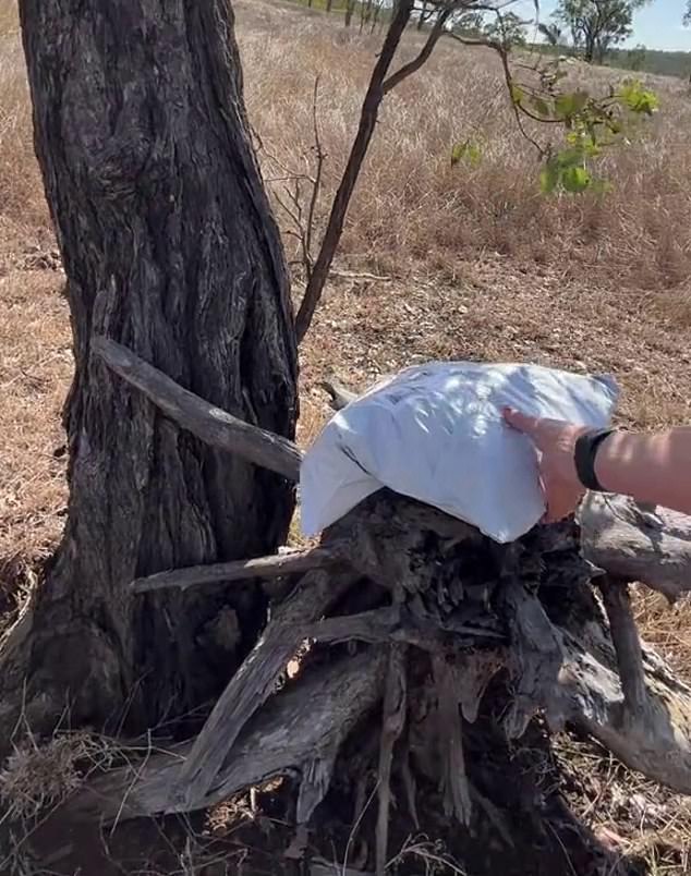 Australia Post had left the package under a random tree on her property (above), instead of delivering it to her home or leaving it in the local store