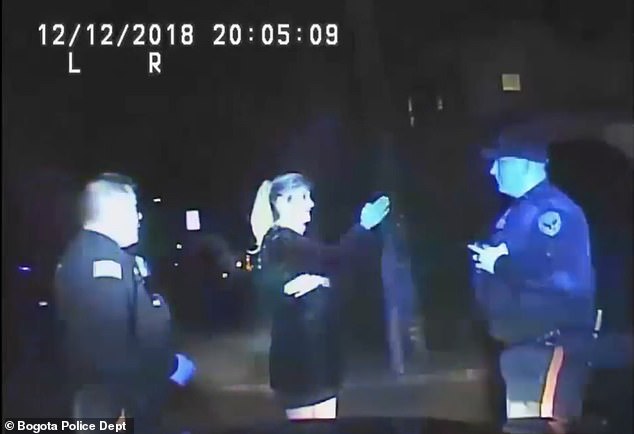 Dashcam video shows Nadine Arslanian Menendez talking to police after fatally attacking pedestrian Richard Koop in 2018