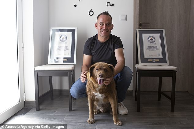 Bobi (photo, below) was the proud holder of two Guinness World Records