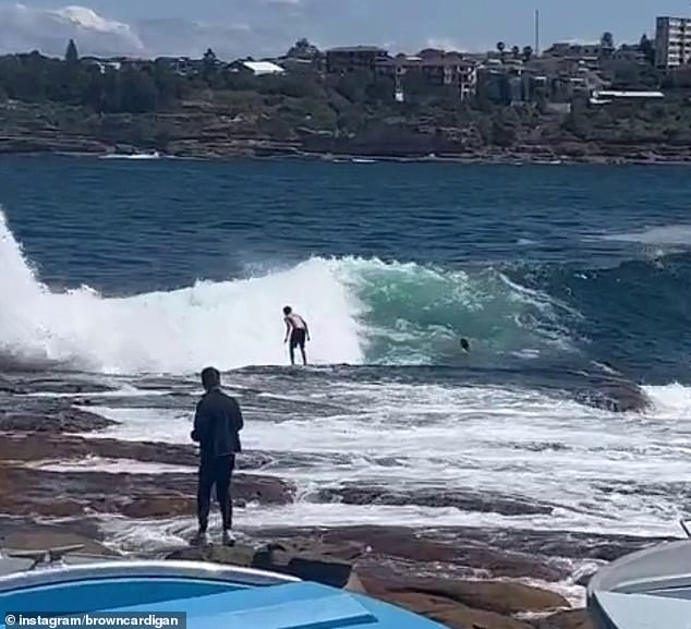 The daredevil prepared to dive into the surf before being crushed by a huge wave