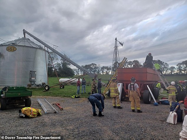 A boy was found conscious and breathing in a grain bin car, buried up to his head in wheat