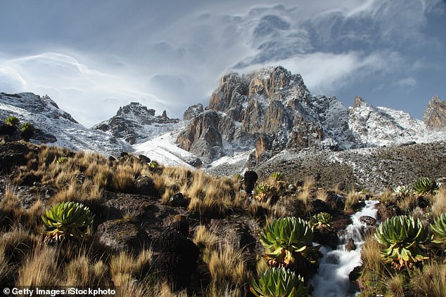 Shilpa Shah, 60, from London, lost her balance while climbing down Mount Kenya last week (pictured)