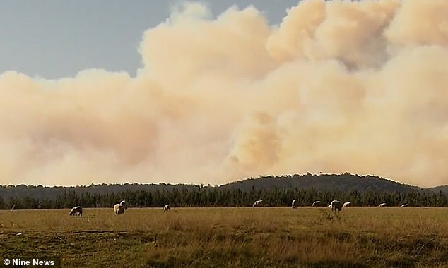 Authorities in Victoria will be on high alert for the next 24 hours.  In the photo, the Gippsland region is shrouded in smoke