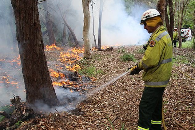 A 'park fire ban' means that only gas heaters, liquid fuel heaters and electric barbecues may be used.