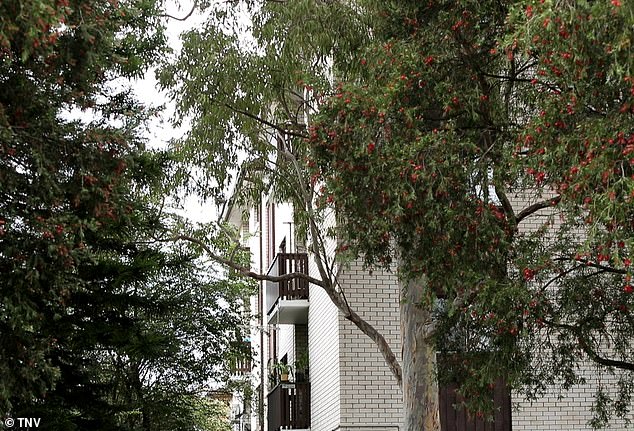 Emergency services were called to the John Street unit block in Cabramatta on Wednesday due to fears for the welfare of a child