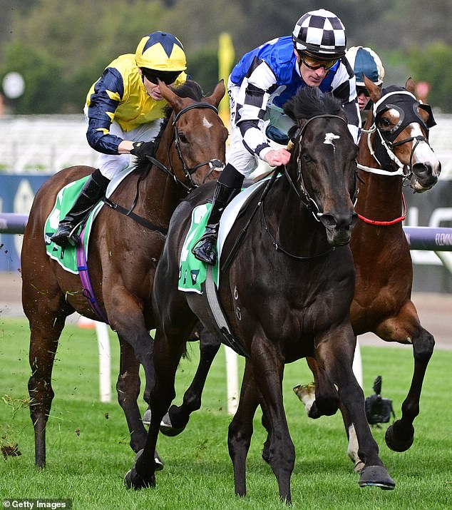 For countless punters from across the country, attention turns to Melbourne this Saturday to host the 2023 Caulfield Cup (photo, pre-race favorite Gold Trip)