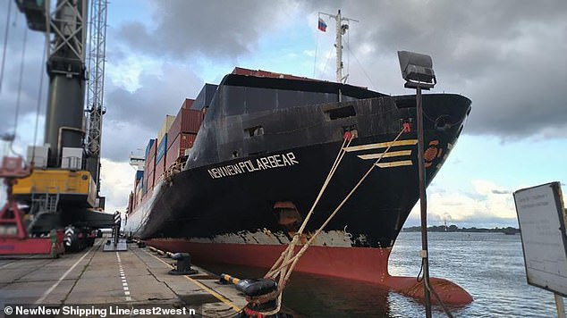 But now Estonian state broadcaster ERR said the container ship Newnew Polar Bear (pictured above) was closer to the pipeline at the key moment.