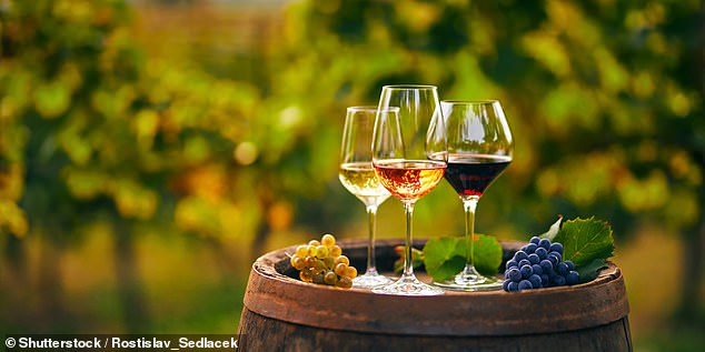 The doom and gloom surrounding climate change tends to offer a bleak picture of the future.  But there may be a glimmer of hope, as researchers from the University of Oxford have found that global warming is improving the quality of wine (stock image)