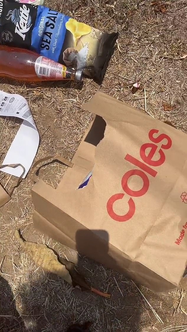 This shopper's paper Coles bags (pictured) lasted until she reached the car park