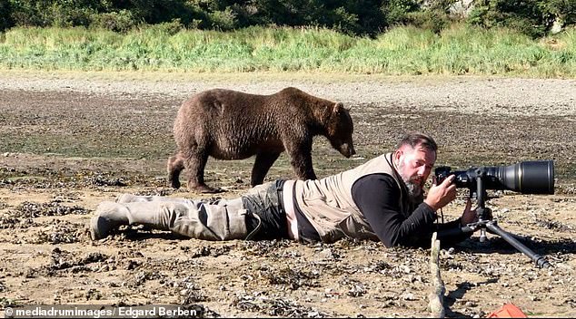 Edgard Berben was so focused on getting the perfect shot of a family of bears heading in the opposite direction that he missed what was passing right by him.