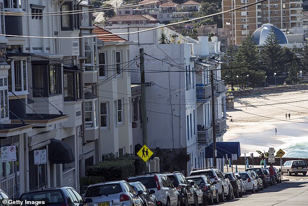 The snakes were dumped on Mount Street in Coogee (pictured)