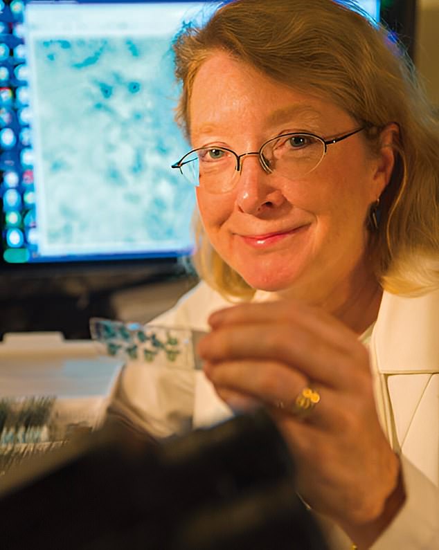 Dr Margaret McCarthy (pictured) co-led the research at the University of Maryland, which found that inflammation in children's brains can disrupt the growth of two key neurons, the Golgi and Perkinje neurons