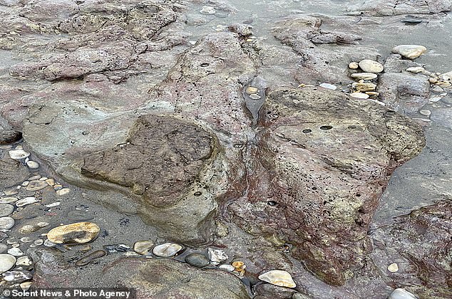 Engineers on the Isle of Wight were in for a surprise this week, after they found impressively well-preserved dinosaur footprints.