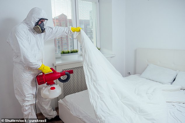 Go pro, go bugs: Getting a professional to exterminate bed bugs instead of relying on DIY treatments can cost hundreds of dollars, but gives you a better chance of getting the bugs gone for good