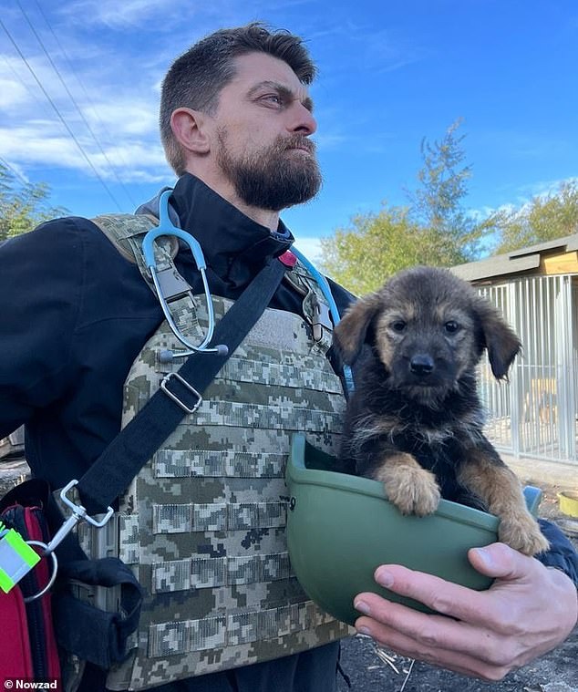 Dr.  Lachlan Campbell (pictured), from the Sunshine Coast, joined British animal welfare charity Nowzad and rescued abandoned and injured animals in war-torn Ukraine