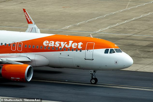 Travelers had to wait five hours for their easyJet plane to be thoroughly cleaned after the pilot was bitten by a mosquito in the cockpit (stock photo)