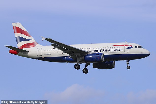 File image of an Airbus A319-100.  The passenger was arrested following the alleged incident