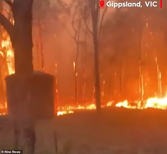 Three bushfires were burning at emergency level in the Gippsland region on Tuesday