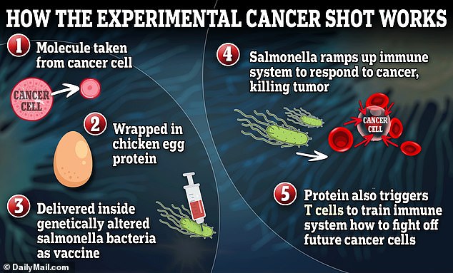 Experimental cancer vaccine clears four in 10 pancreatic tumors and