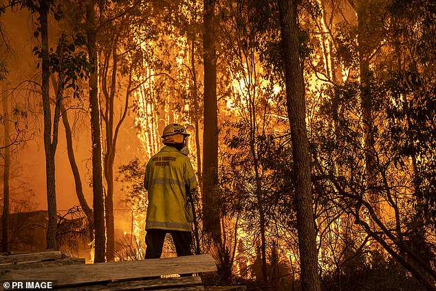 Millions of people have been warned to take immediate action with hot, dry and 'very windy' conditions expected to spark new bushfires in NSW.