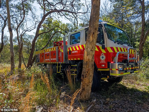 A NSW Rural Fire Service volunteer has died while battling a blaze near Kyogle (stock)